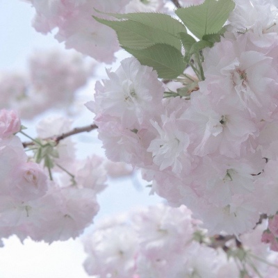 Furry插画构图实用思路福瑞交流群